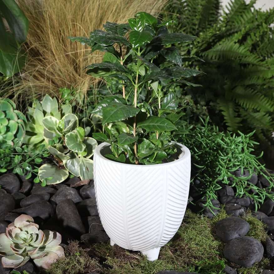 Sagebrook 6" Dia Porcelain Footed Planter - White