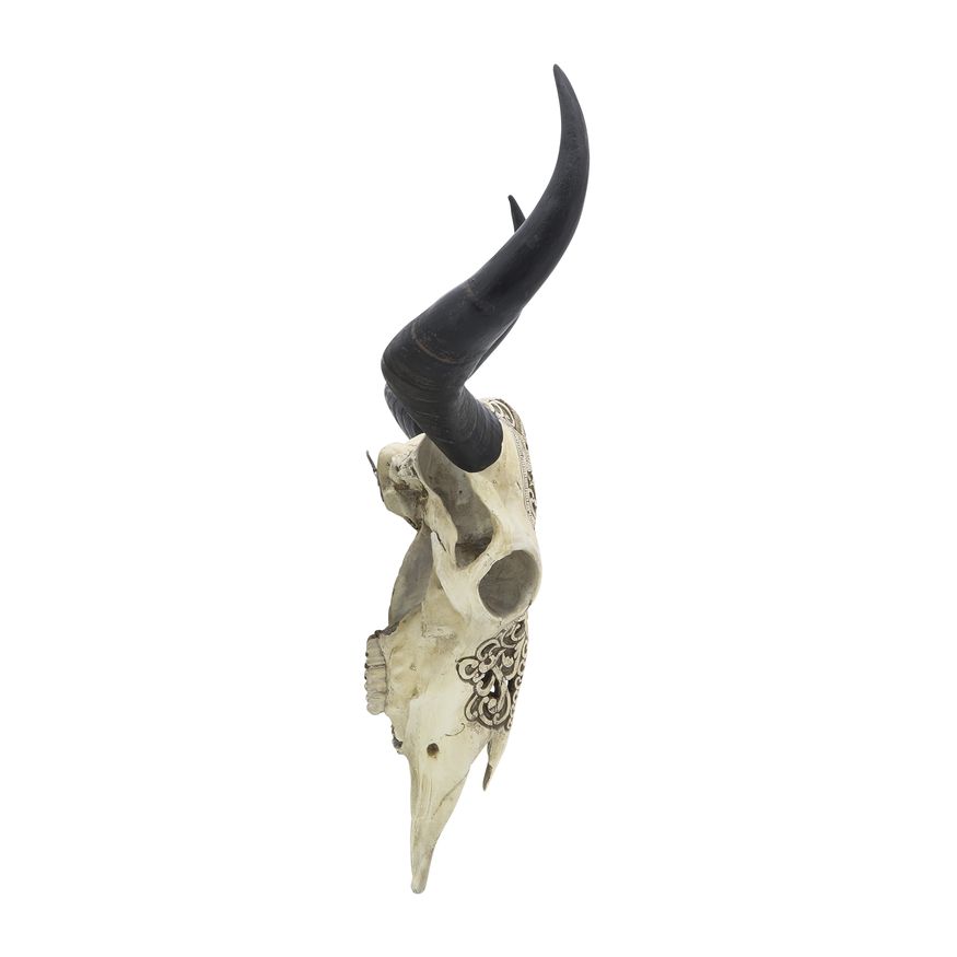 Sagebrook - Resin Bull Skull Wall Accent in Ivory/Black