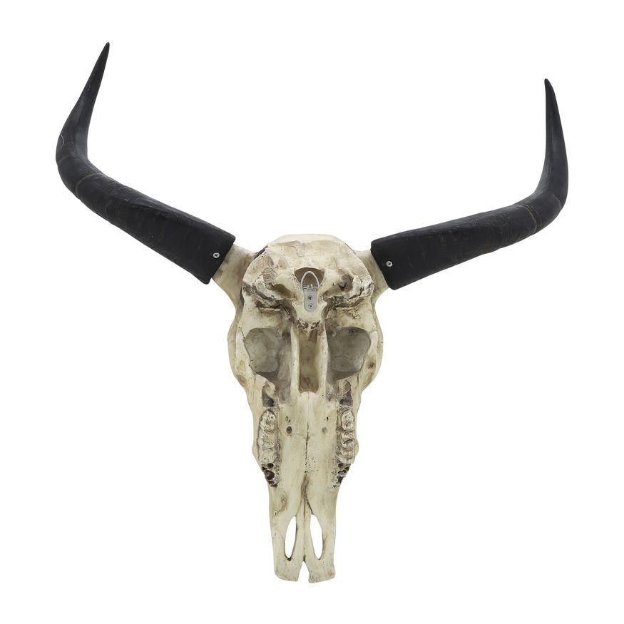 Sagebrook - Resin Bull Skull Wall Accent in Ivory/Black