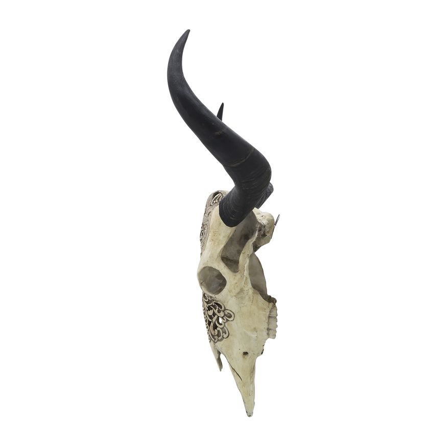 Sagebrook - Resin Bull Skull Wall Accent in Ivory/Black