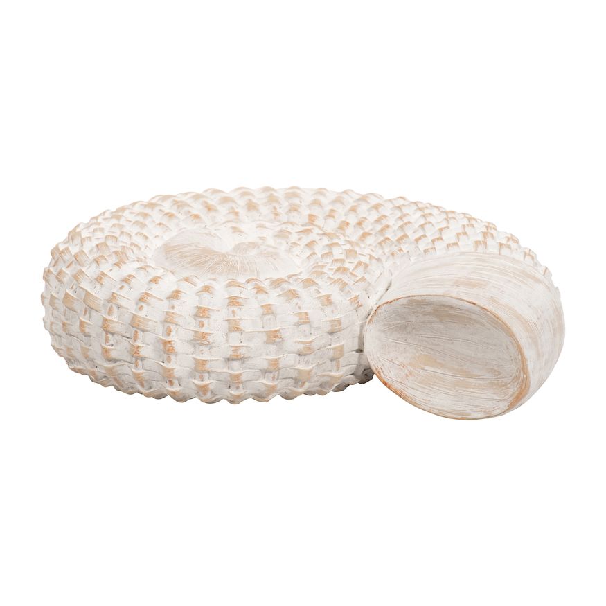 Sagebrook - 7" Resin Shell Table Accent in White