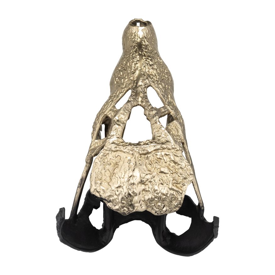 Sagebrook 16" Metal Alligator Skull - Gold/Black