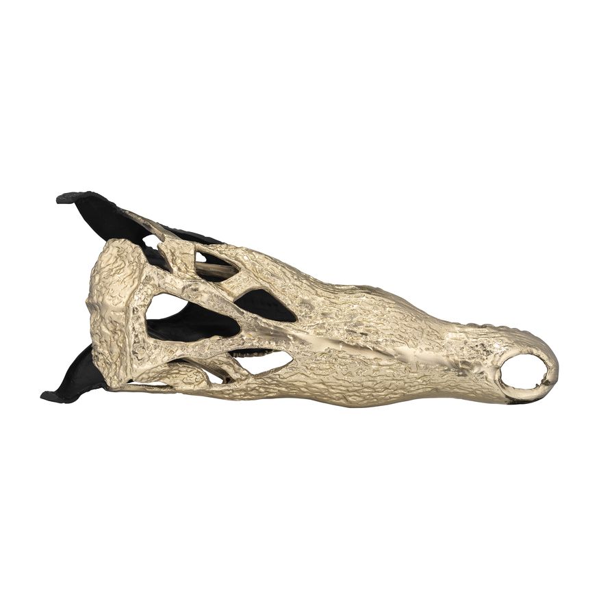 Sagebrook 16" Metal Alligator Skull - Gold/Black