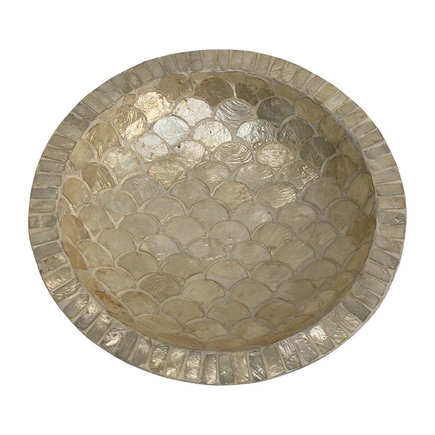 Sagebrook - 16" Shell Decorative Bowl in Natural