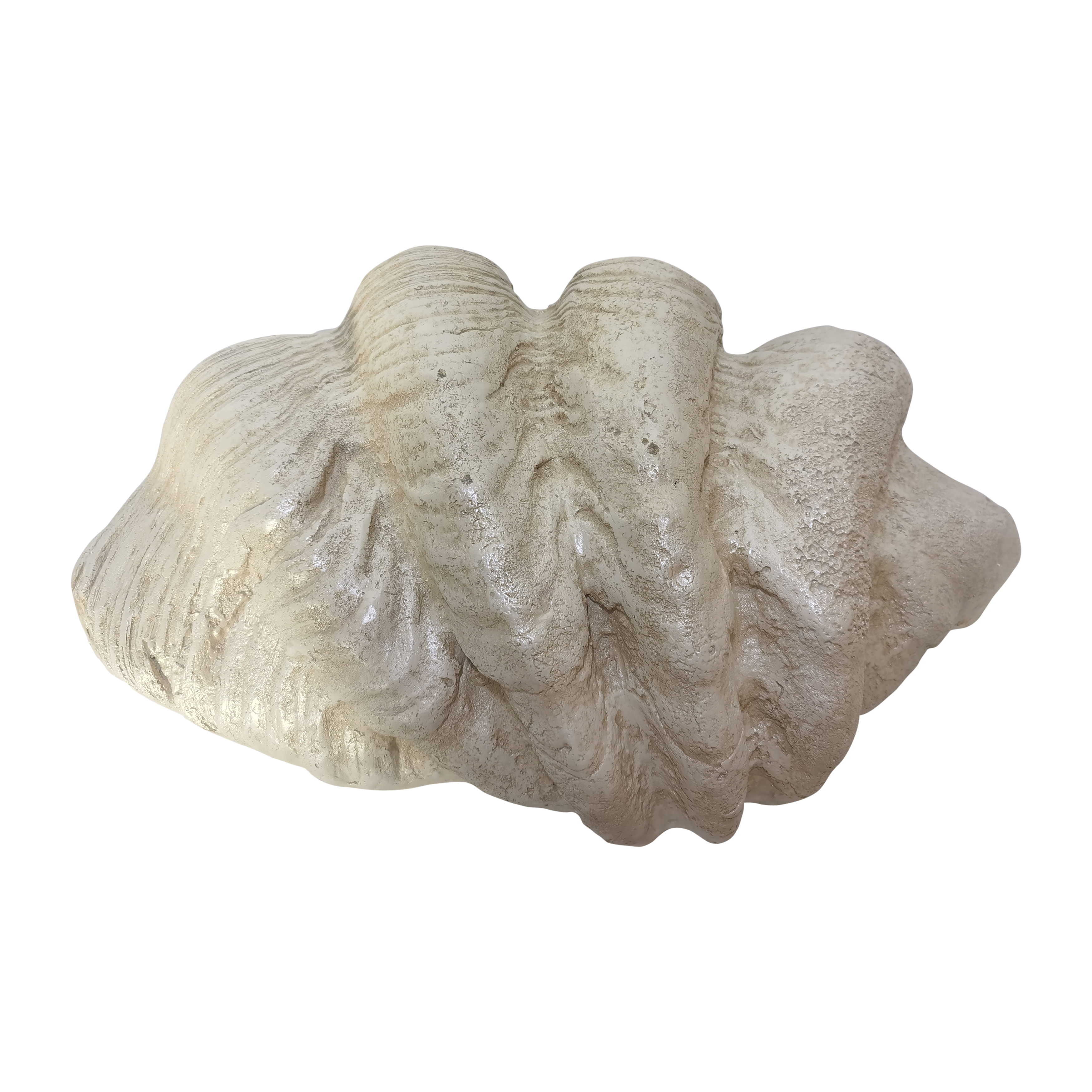 Sagebrook™ 25" Pearlized Clam Shell Bowl - Ivory