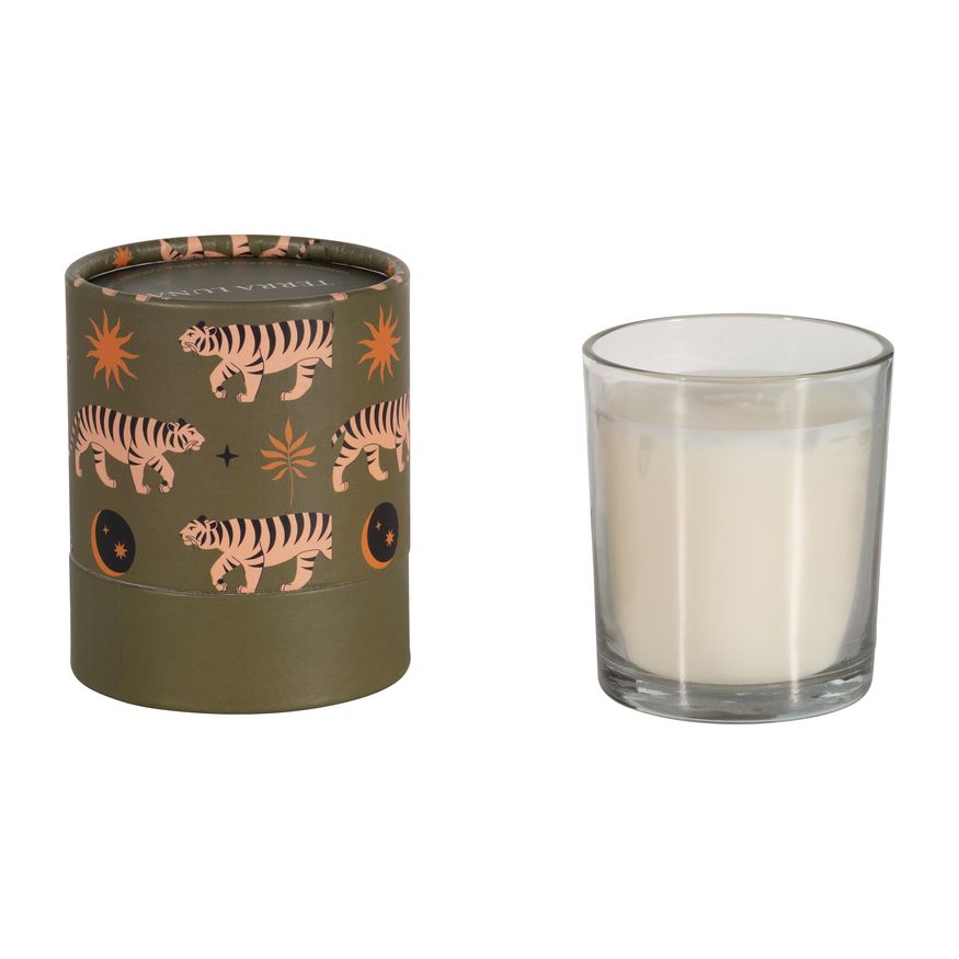 Sagebrook 4" 7 Oz Tiger Boxed Candle