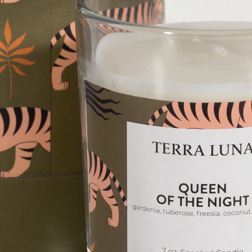 Sagebrook 4" 7 Oz Tiger Boxed Candle