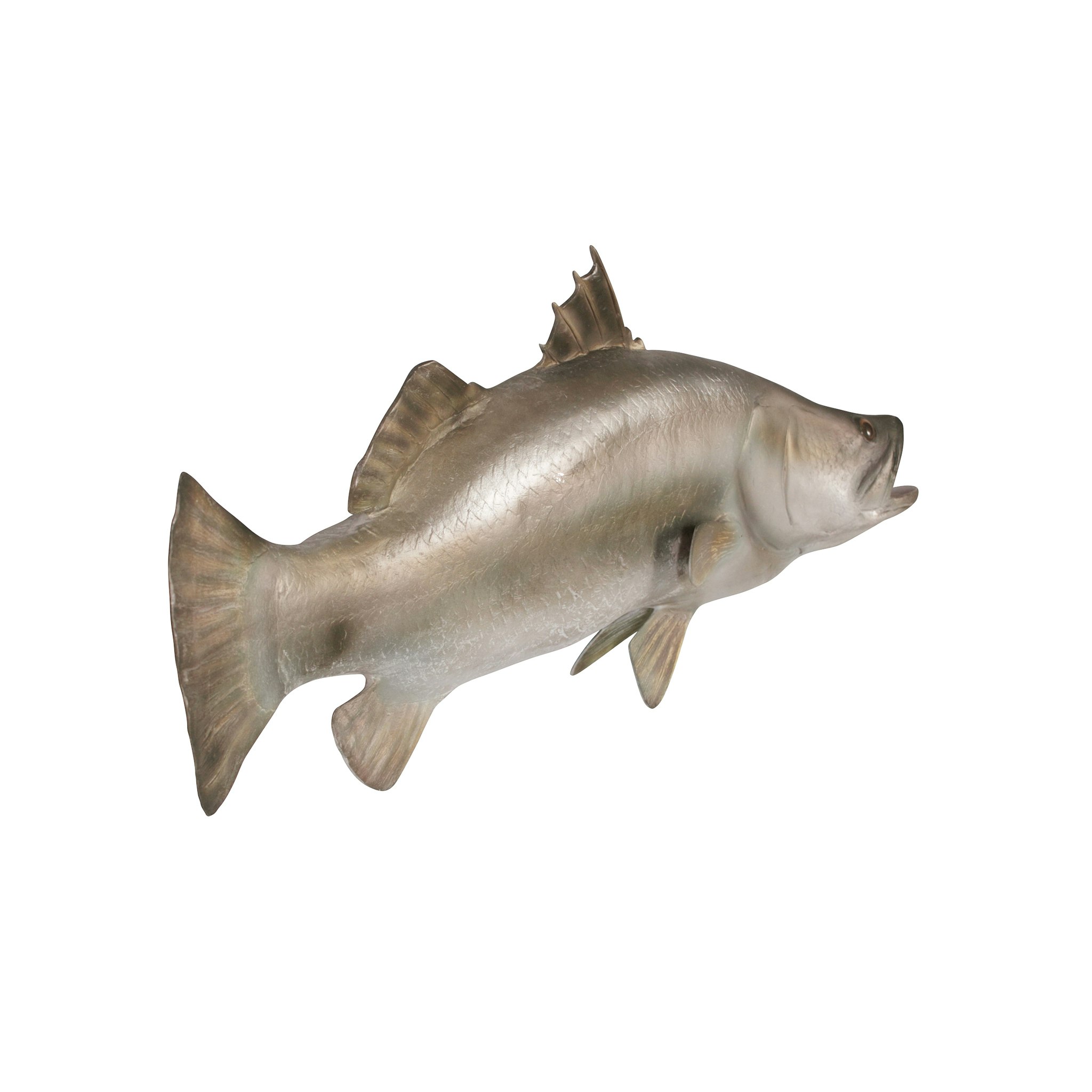 Toscano - Barramundi Wall Mount Trophy Sculpture