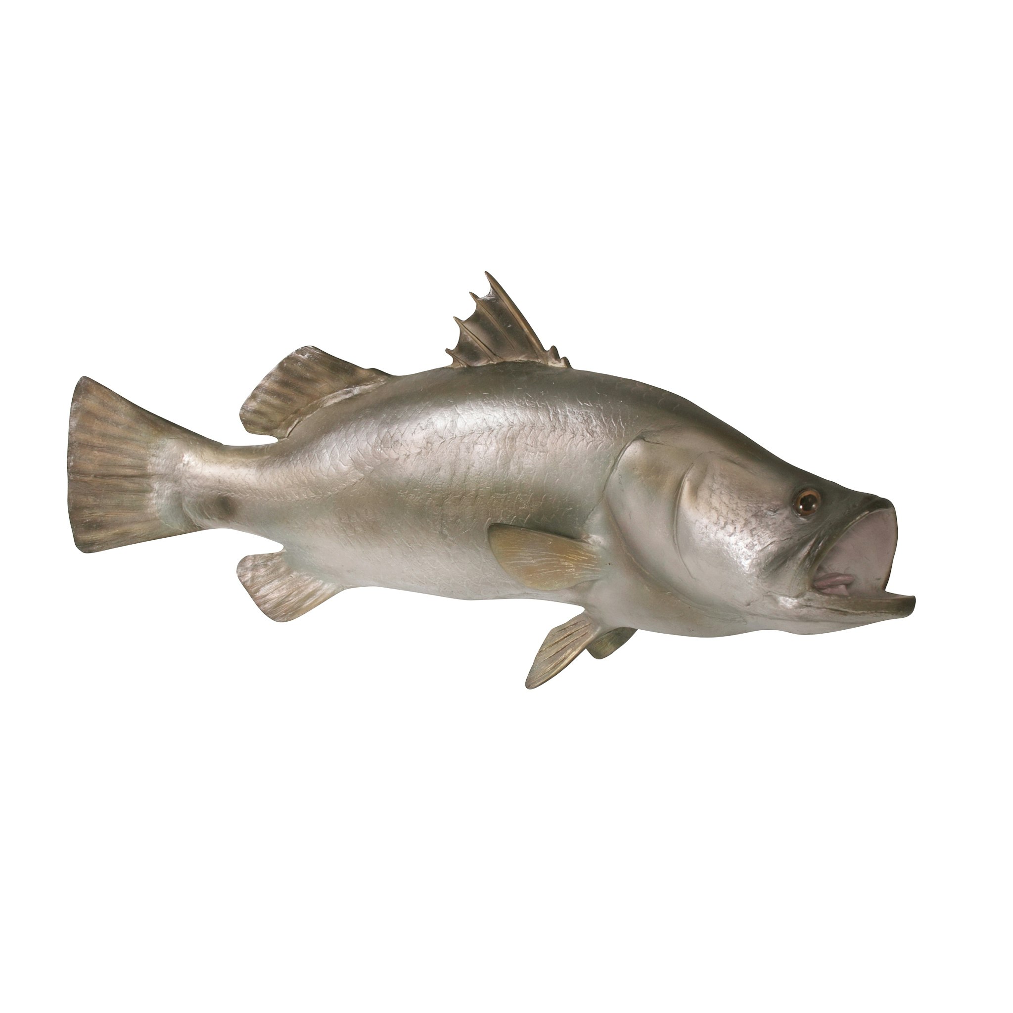 Toscano - Barramundi Wall Mount Trophy Sculpture