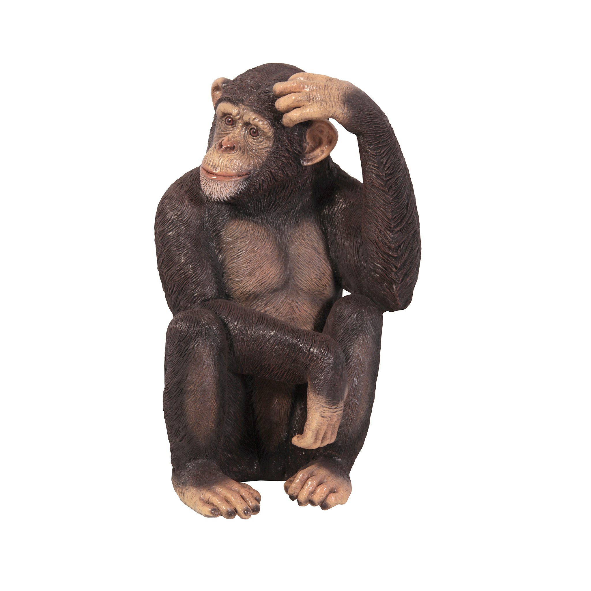 Toscano - Chauncey the Confused Chimp Garden Monkey Statue