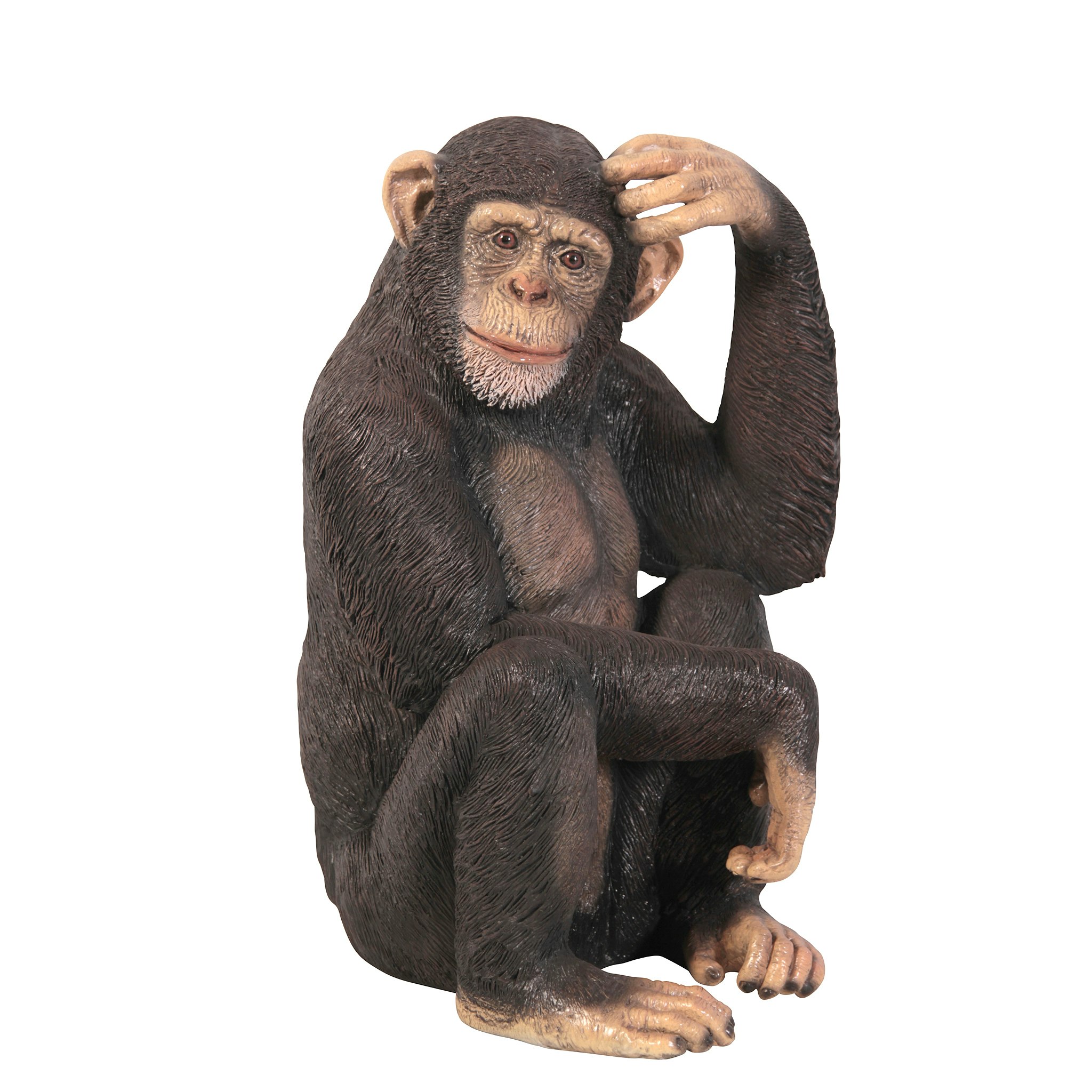 Toscano - Chauncey the Confused Chimp Garden Monkey Statue