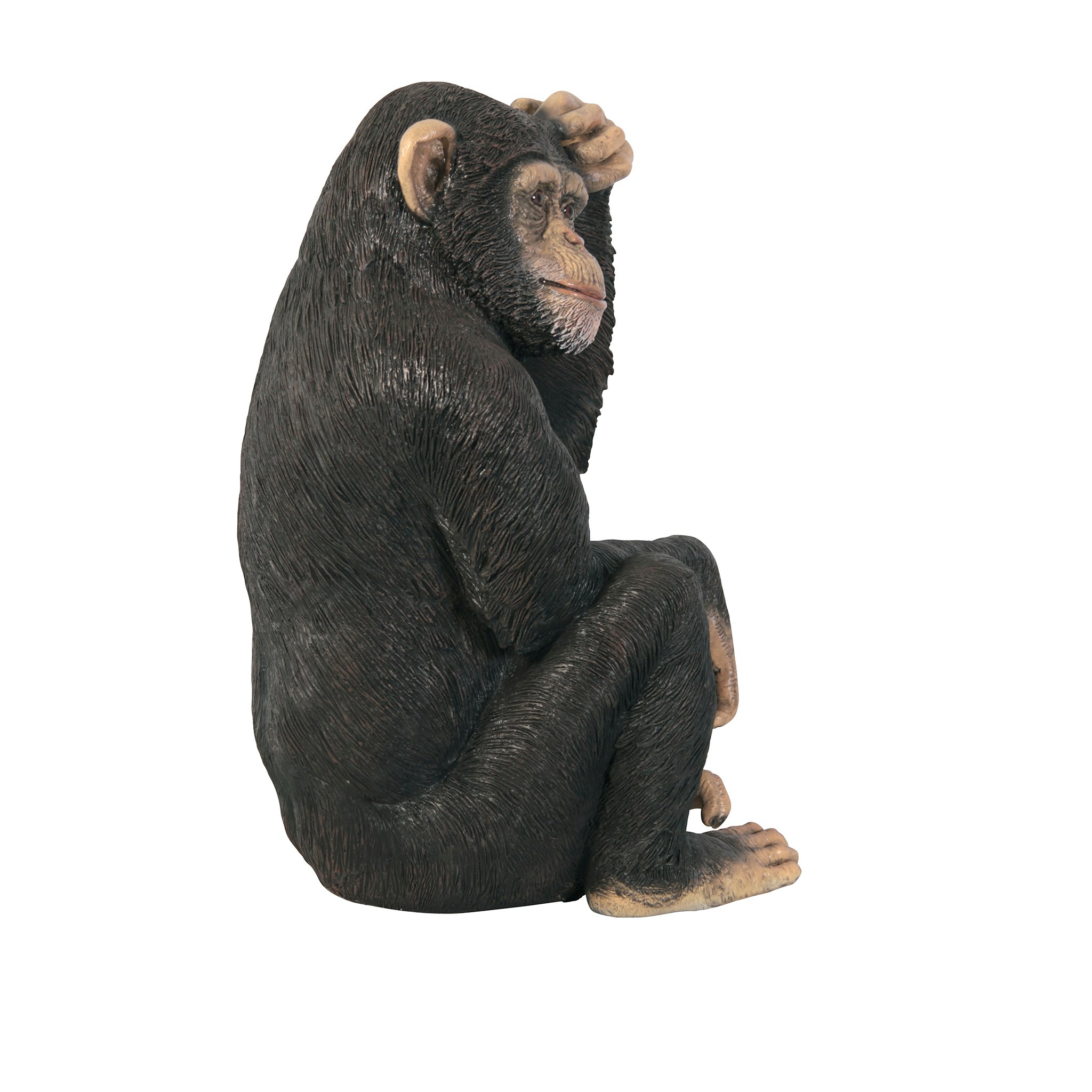 Toscano - Chauncey the Confused Chimp Garden Monkey Statue