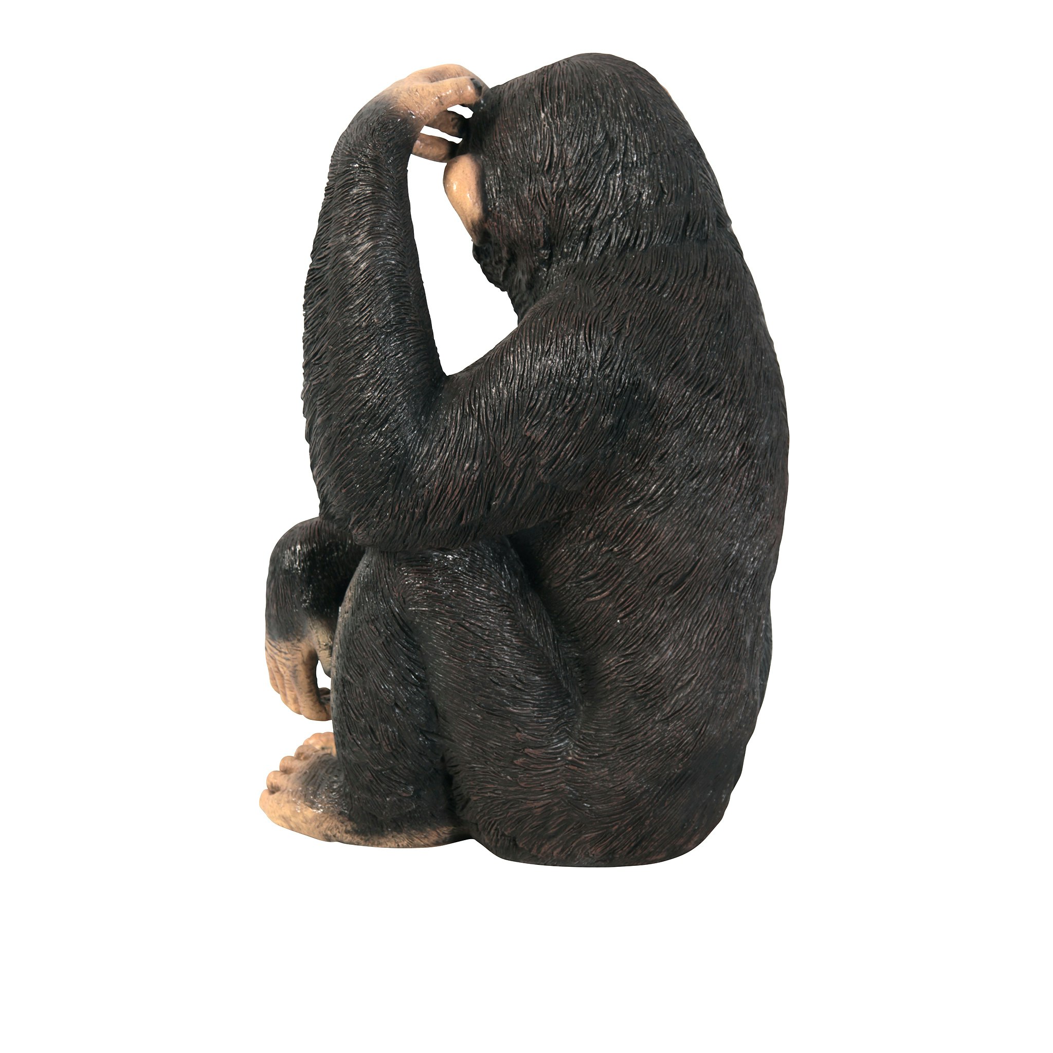 Toscano - Chauncey the Confused Chimp Garden Monkey Statue