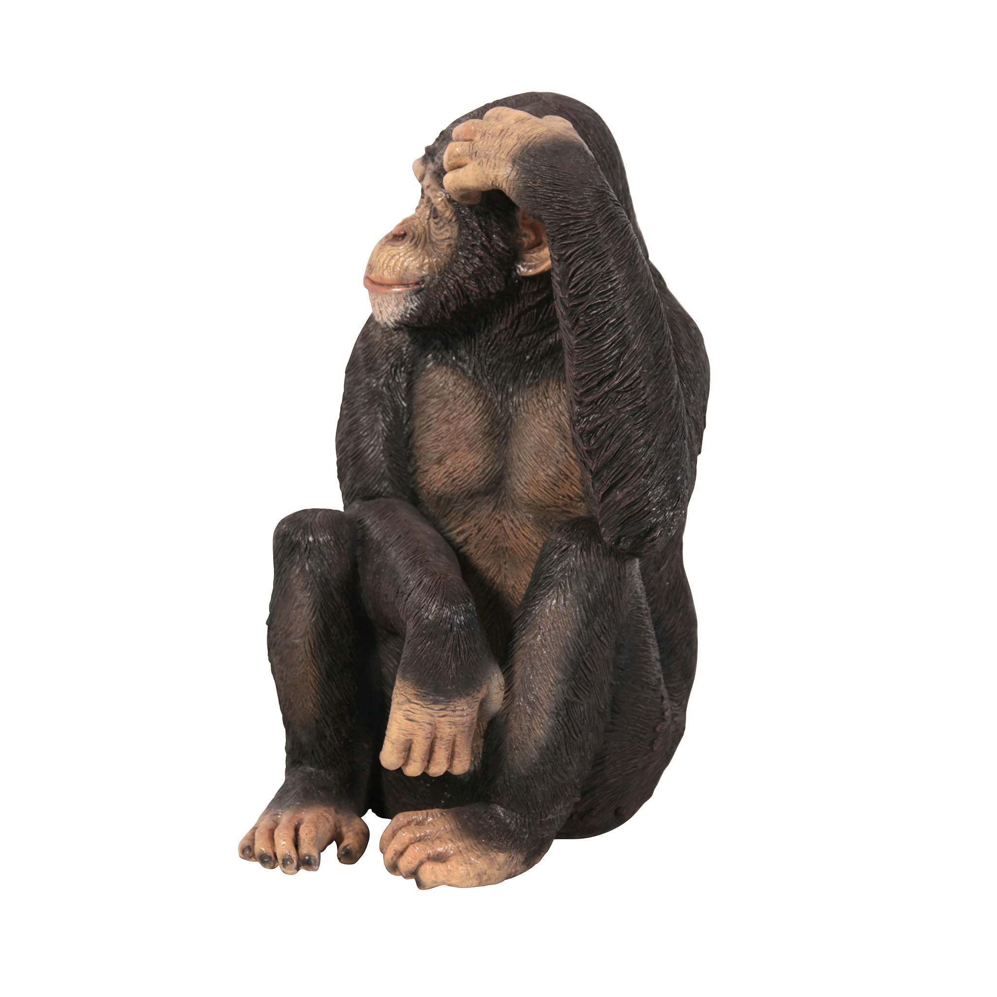 Toscano - Chauncey the Confused Chimp Garden Monkey Statue