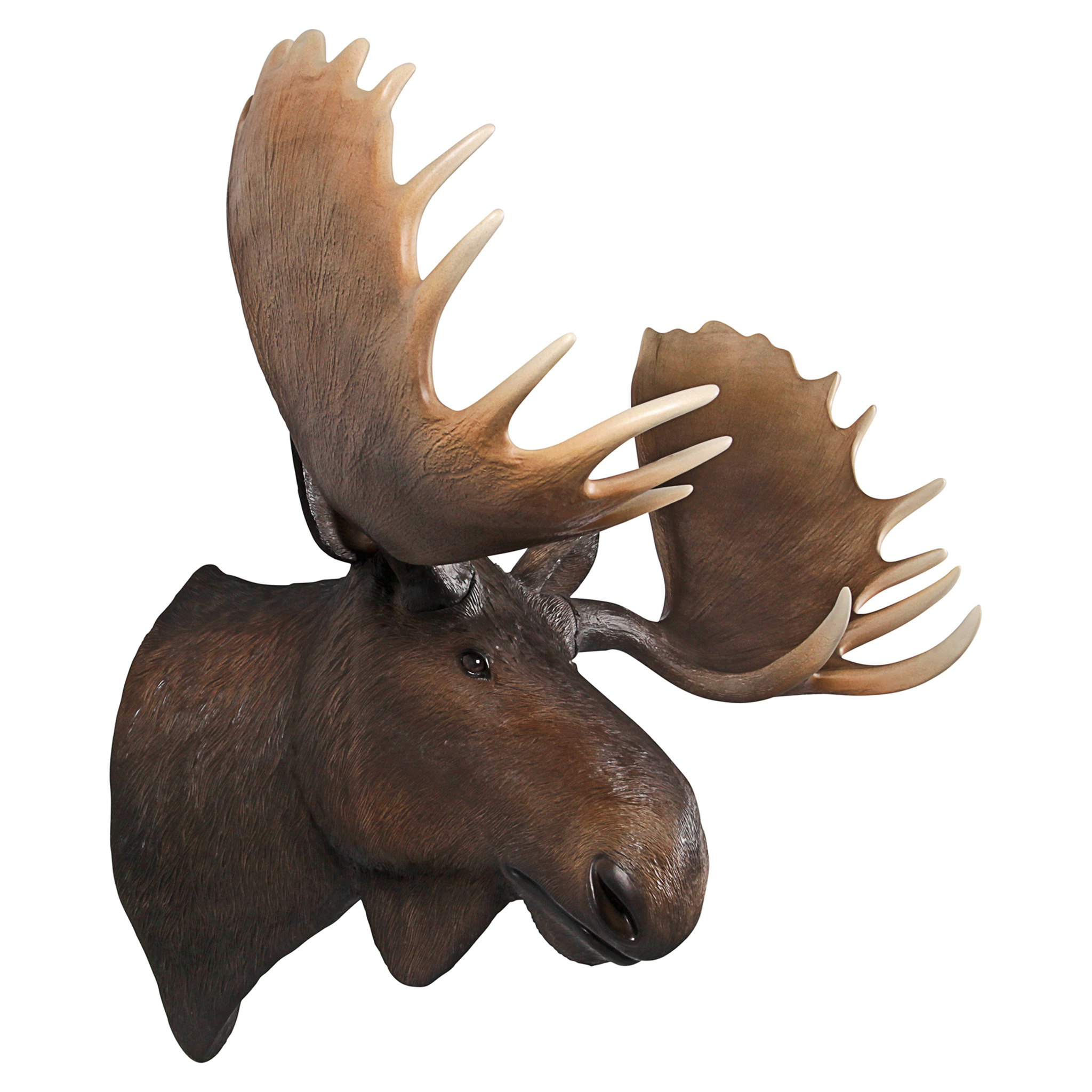 Toscano - North American Majestic Moose Trophy Head Wall Sculpture