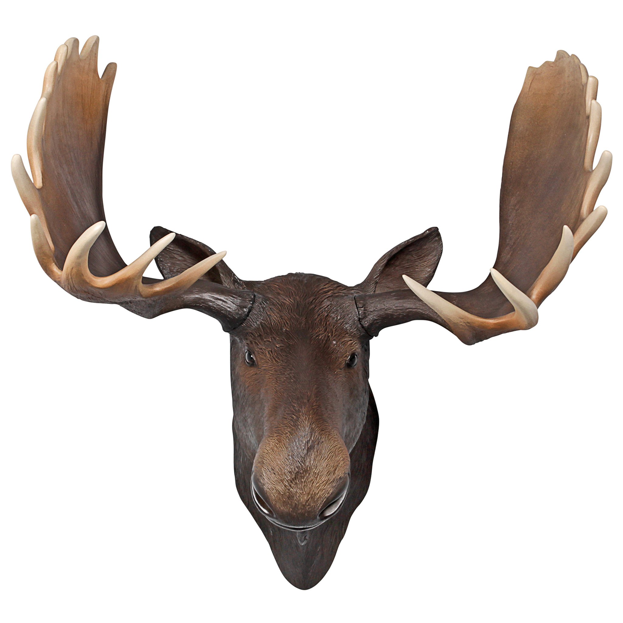 Toscano - North American Majestic Moose Trophy Head Wall Sculpture