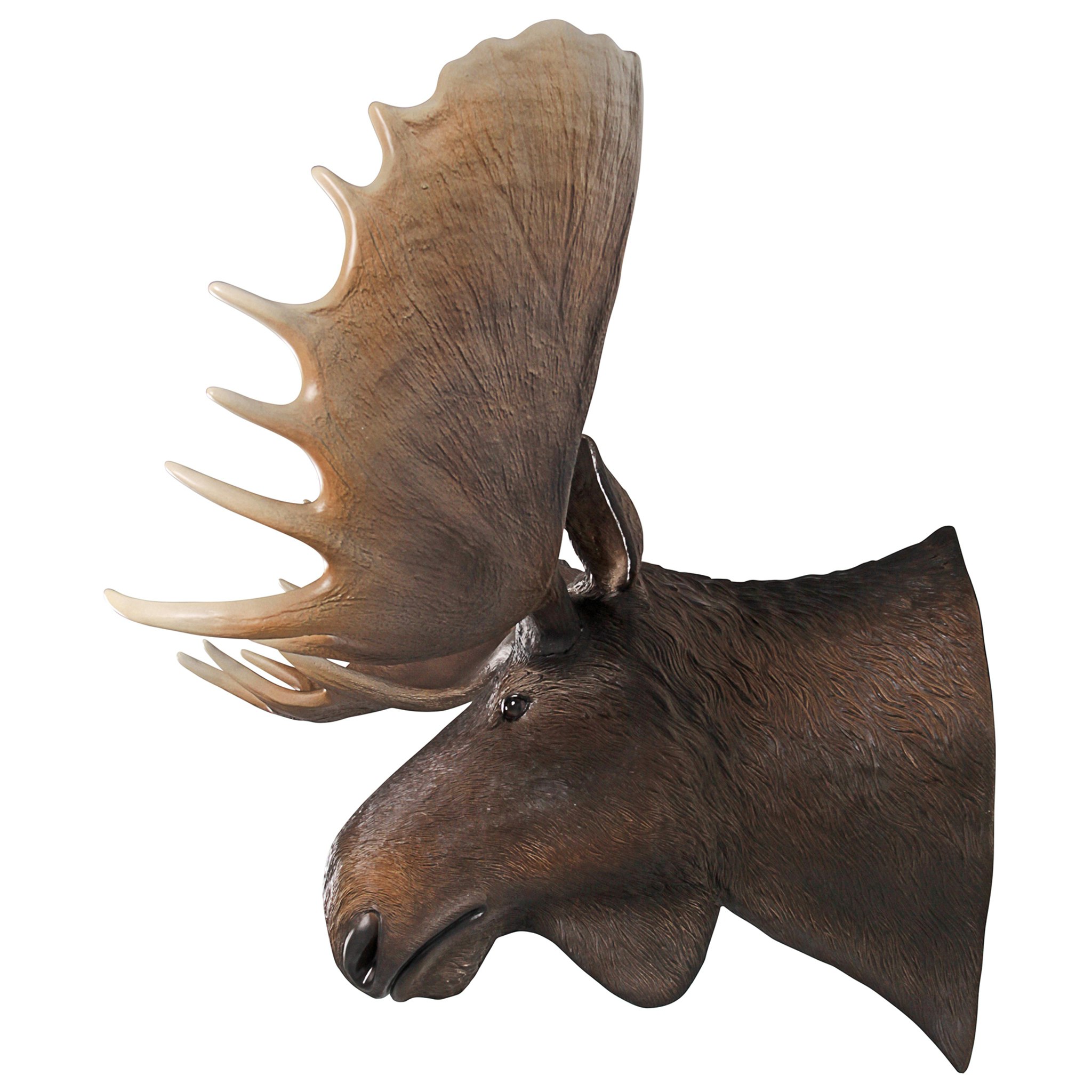 Toscano - North American Majestic Moose Trophy Head Wall Sculpture