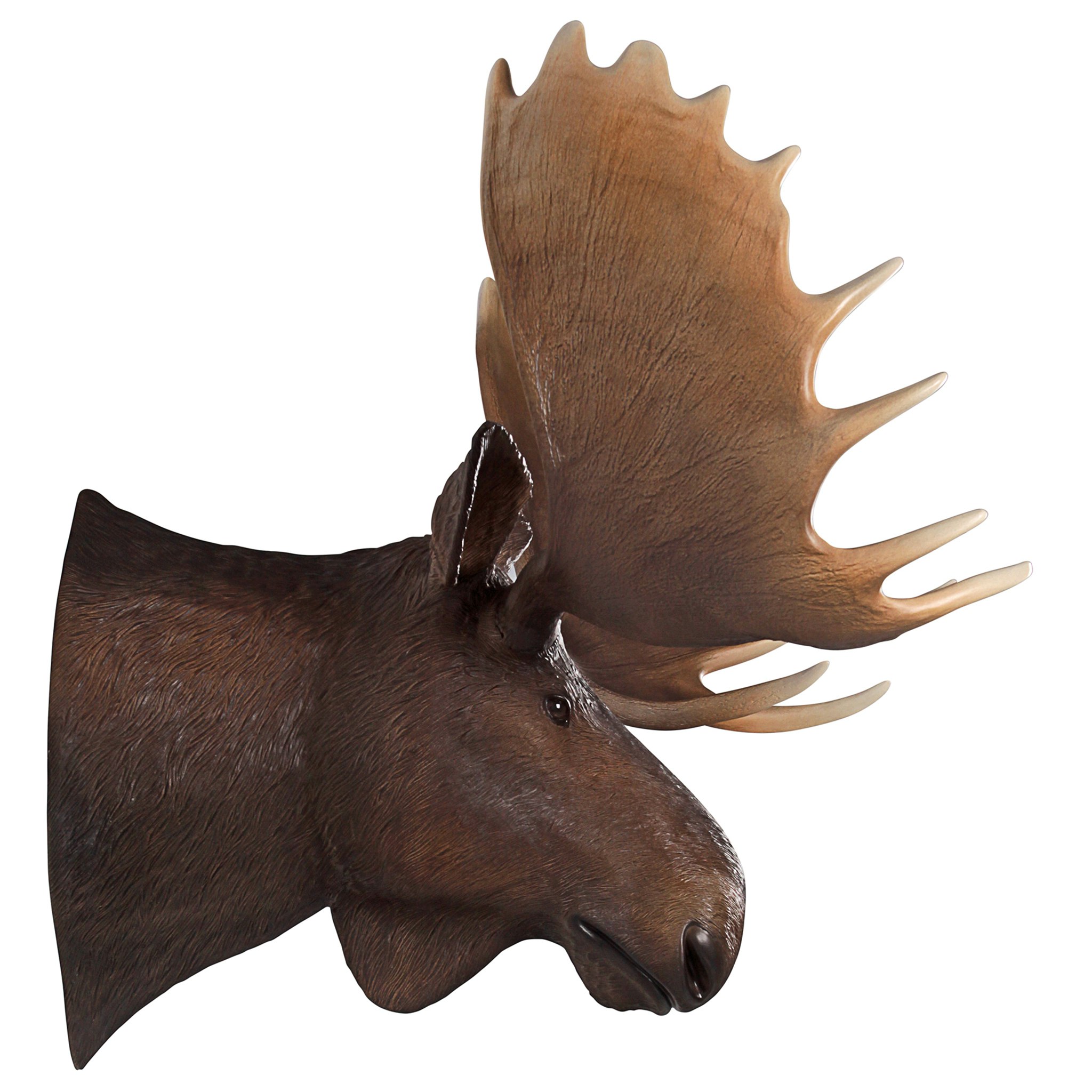 Toscano - North American Majestic Moose Trophy Head Wall Sculpture