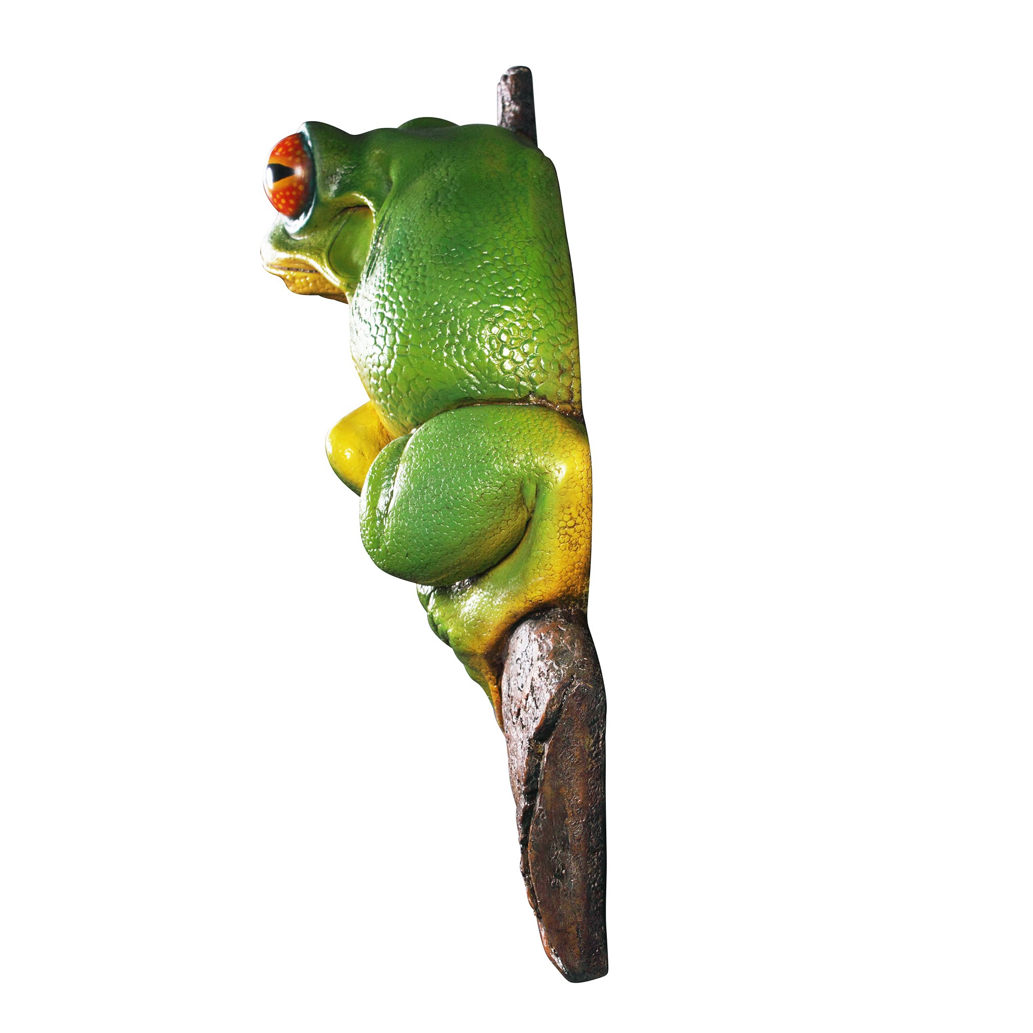 Toscano - Red-Eyed Tree Frog Garden Statue