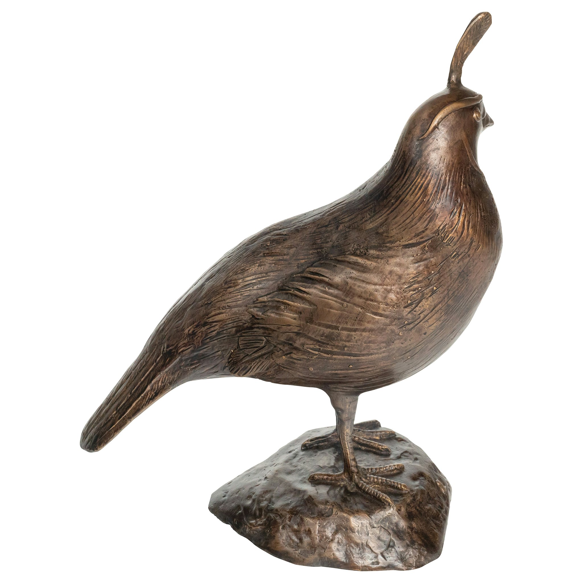 Toscano California Quail Solid Garden Statue - Male