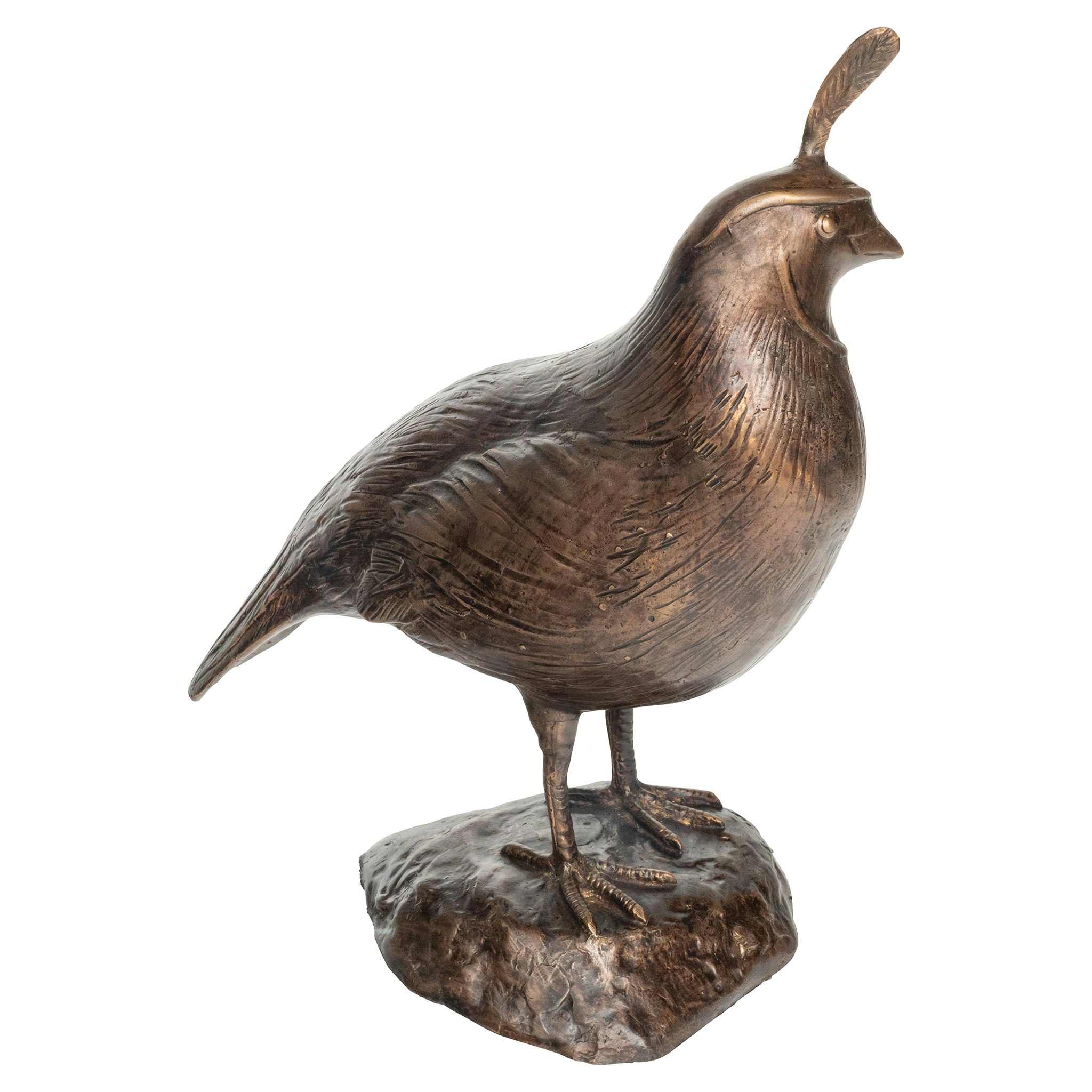 Toscano California Quail Solid Garden Statue - Male