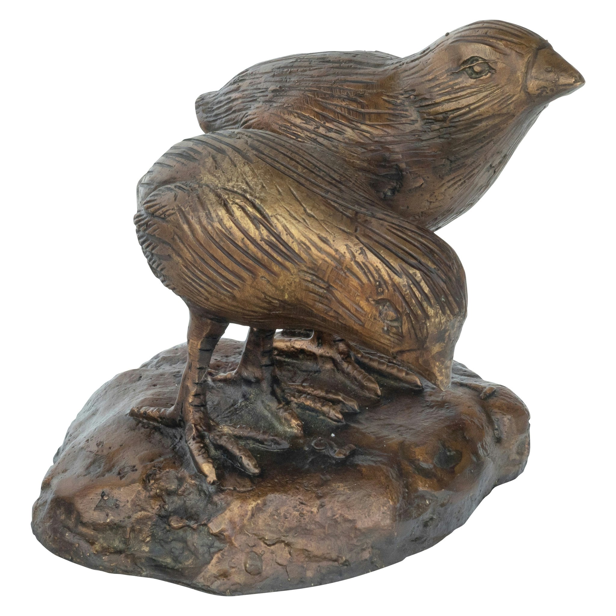 Toscano California Quail Solid Garden Statue - Twin Baby