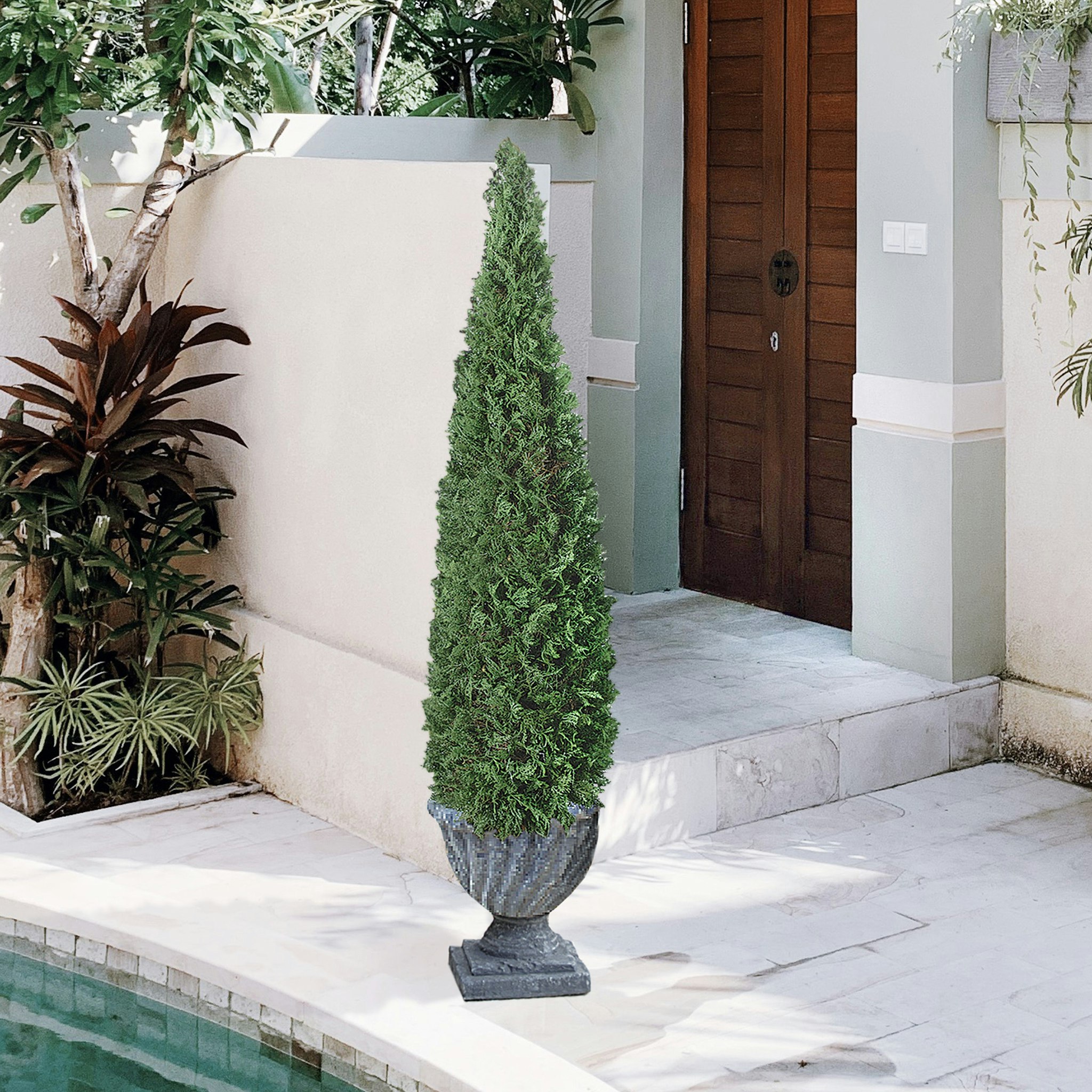 Toscano - Spiral Topiary Tree Collection