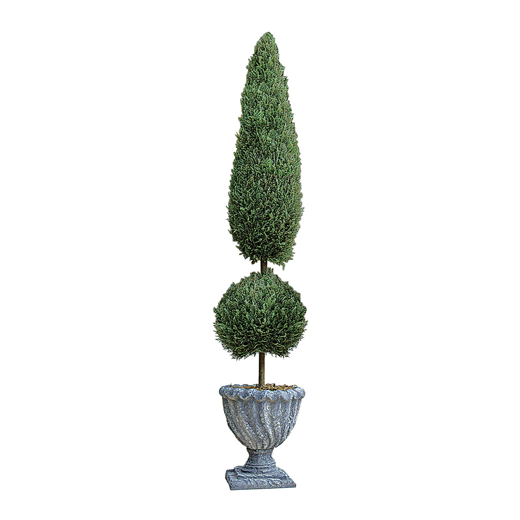 Toscano Classic Topiary Tree Collection - Large