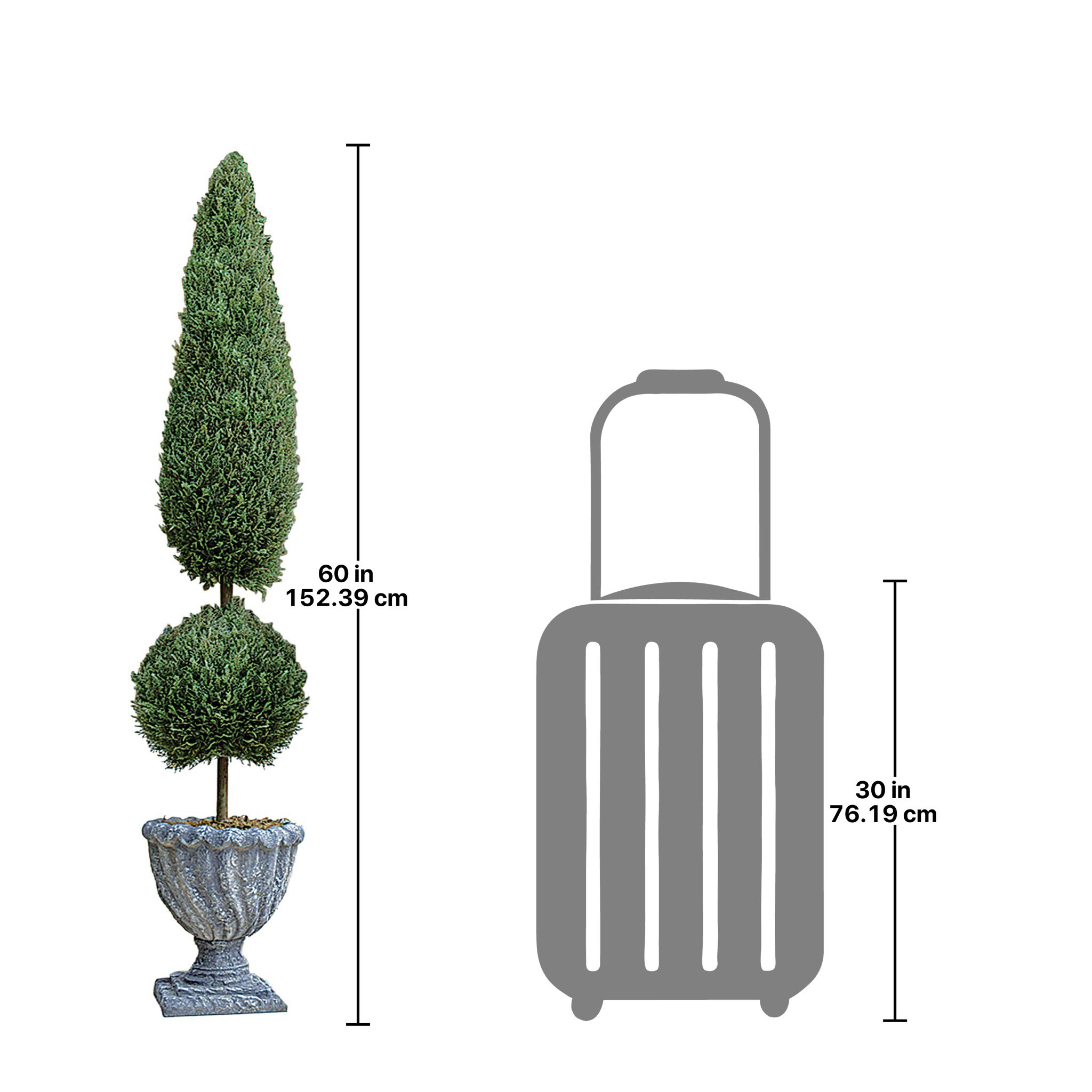 Toscano Classic Topiary Tree Collection - Large