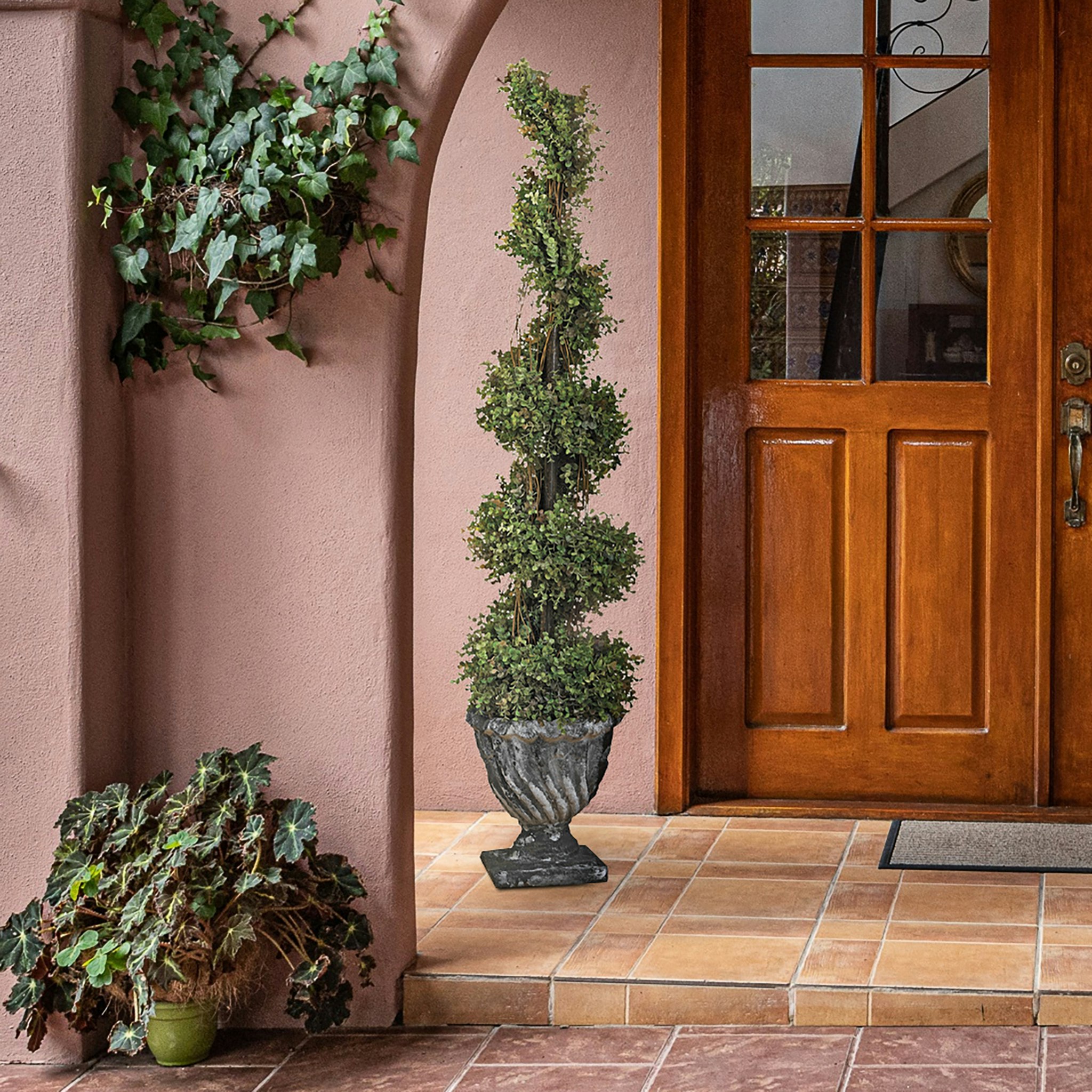 Toscano - Spiral Topiary Tree Collection