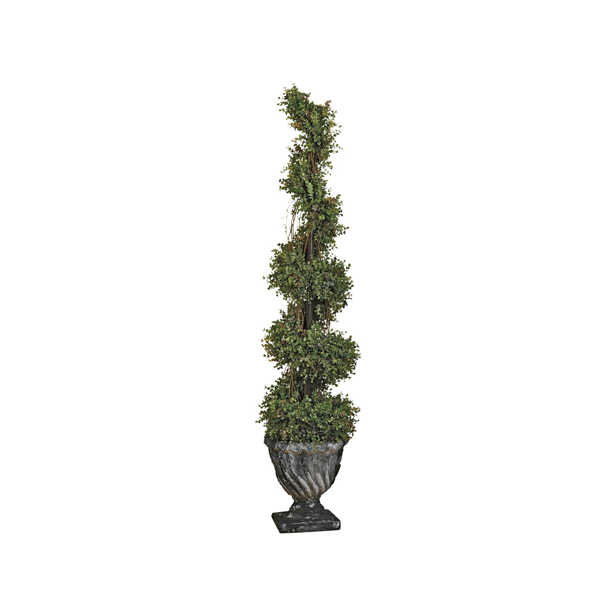 Toscano Spiral Topiary Tree Collection - Small