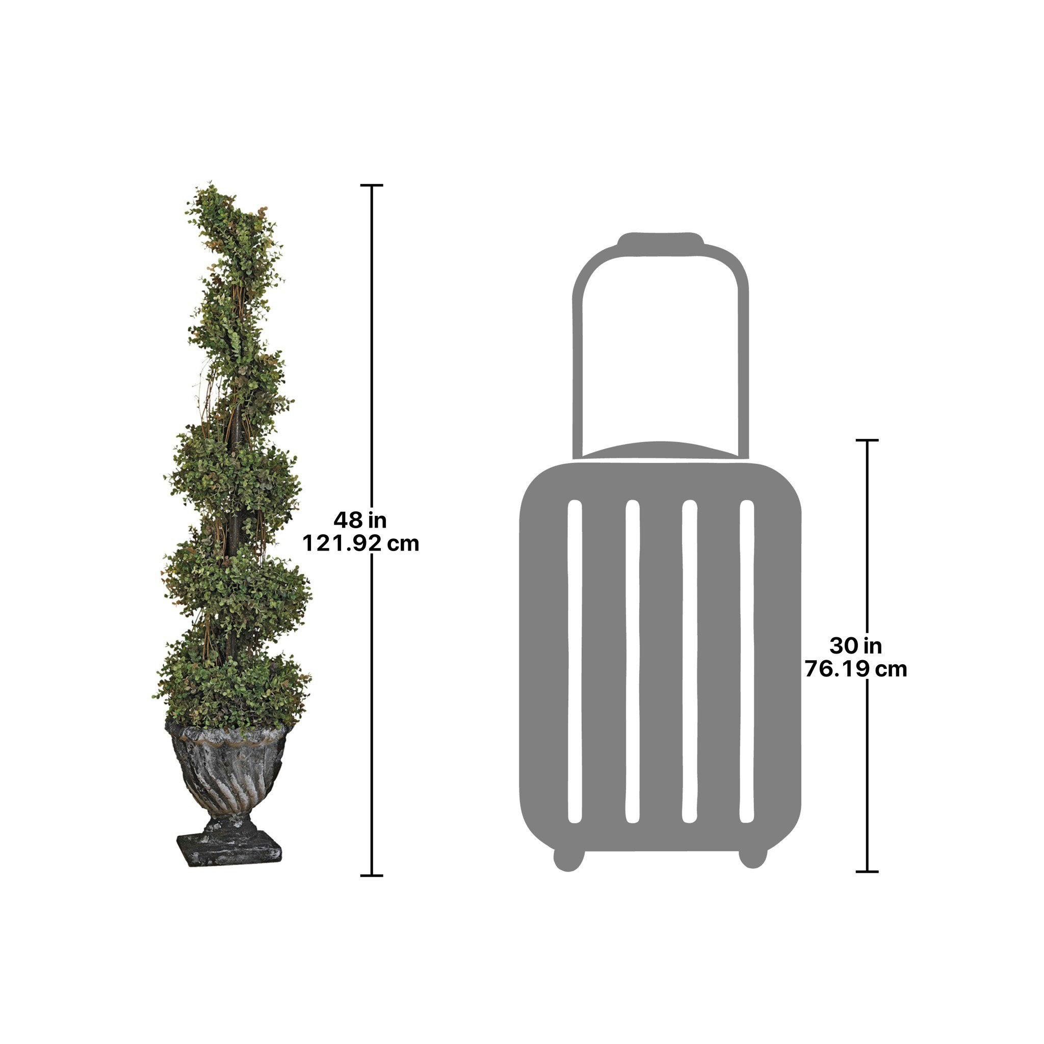 Toscano Spiral Topiary Tree Collection - Small