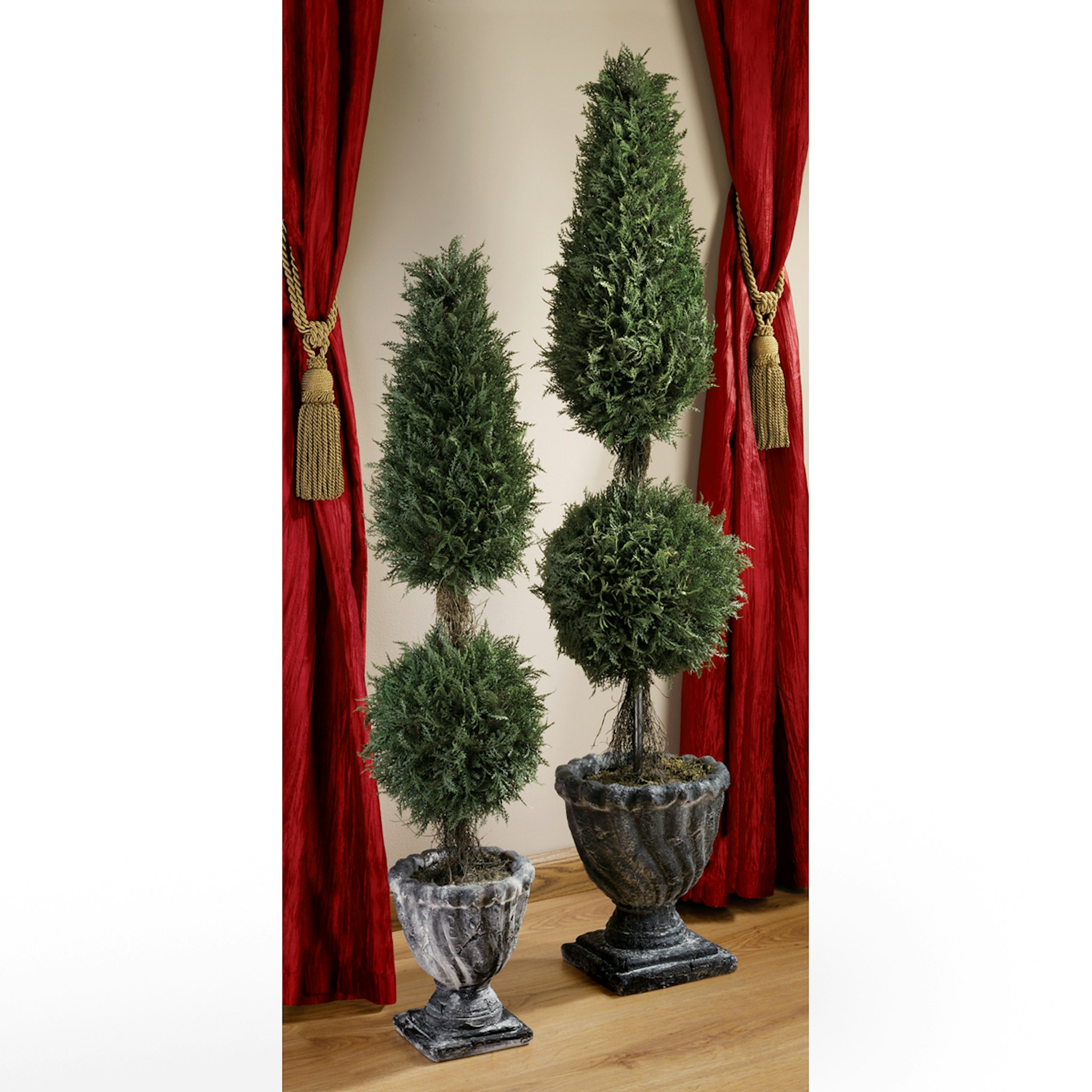 Toscano - Spiral Topiary Tree Collection