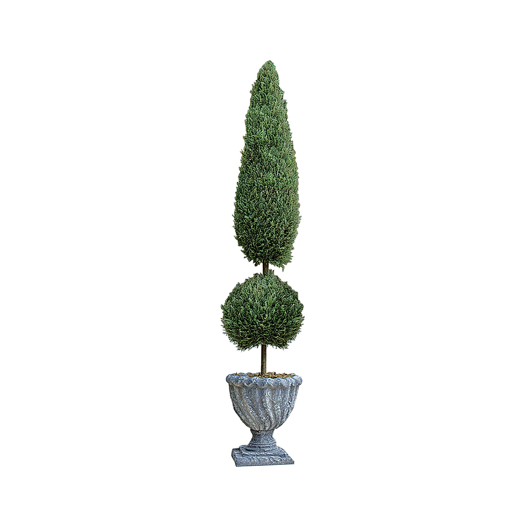 Toscano Classic Topiary Tree Collection - Small