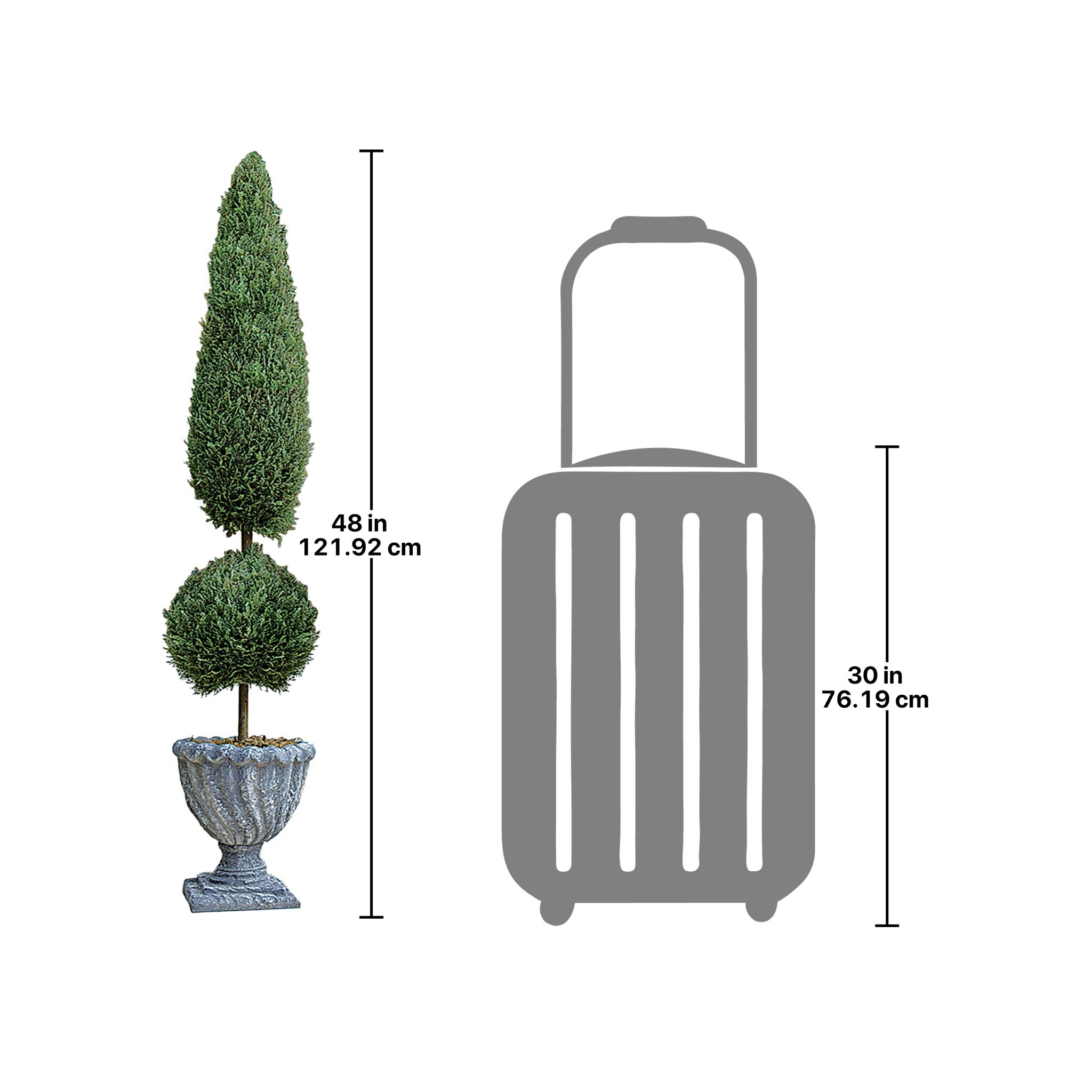 Toscano Classic Topiary Tree Collection - Small