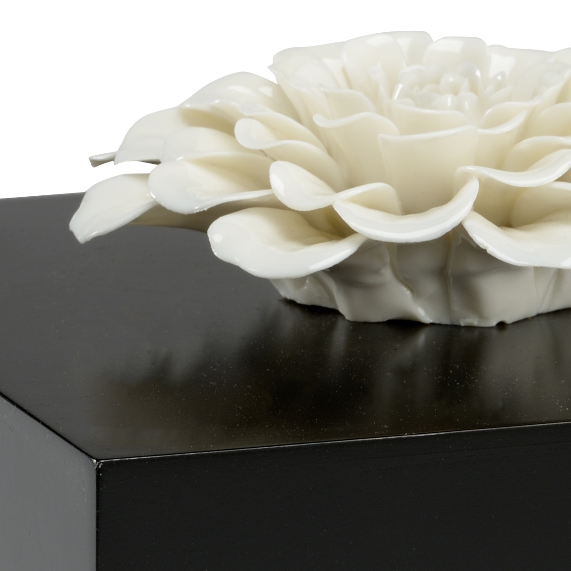 Wildwood - Zinnia Box in Black, Composite