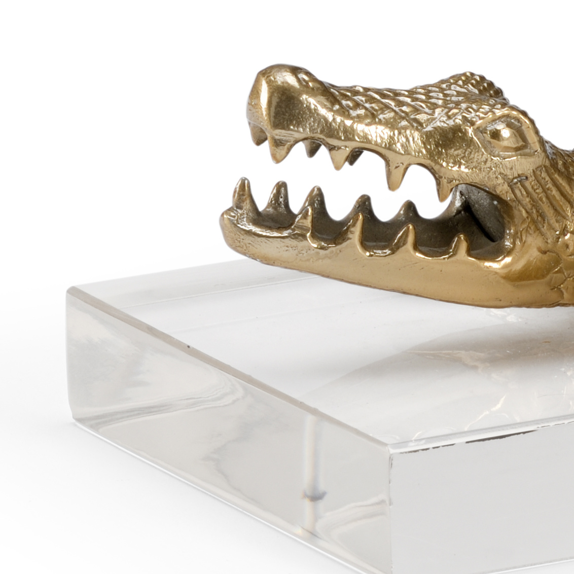 Wildwood - Croc Of Brass in Anituqe Brass/Clear, Large