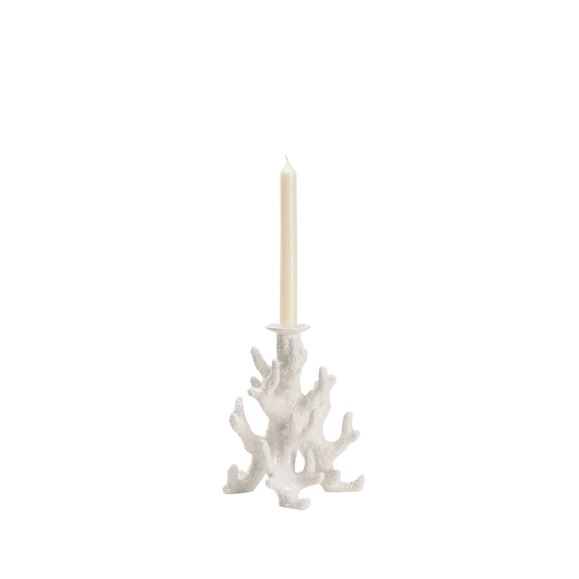 Wildwood Coral Candleholder - White Glaze, Small