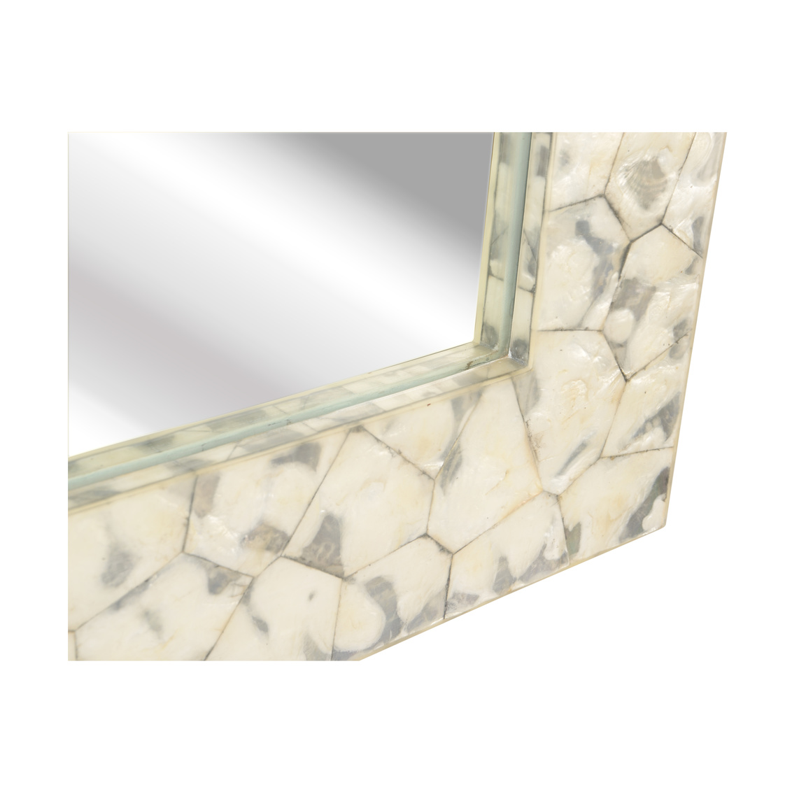 Wildwood - Shell Shock Rectangular Mirror